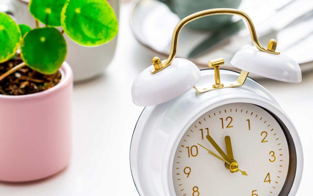 Time Management Techniques for Busy Professionals: A Comprehensive Guide